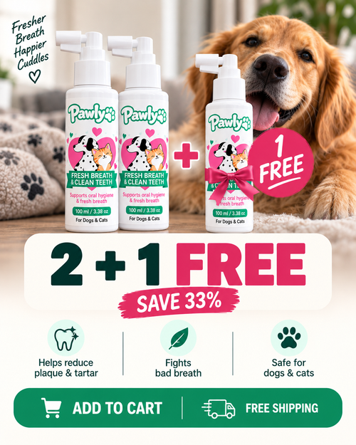 Buy 2 Get 1 Free