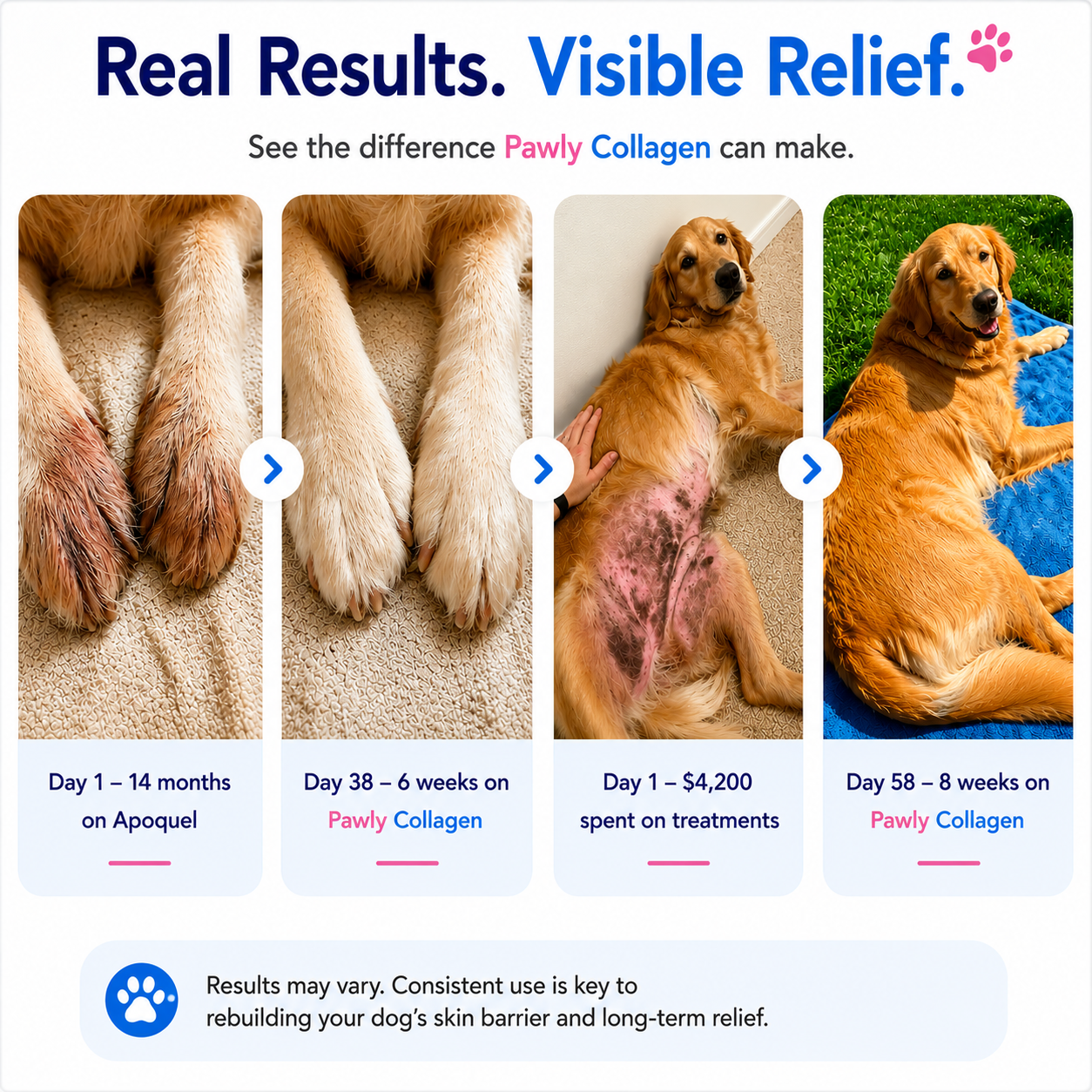 Pawly Premium Liquid Collagen