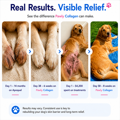 Pawly Premium Liquid Collagen
