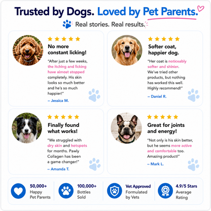 Pawly Premium Liquid Collagen
