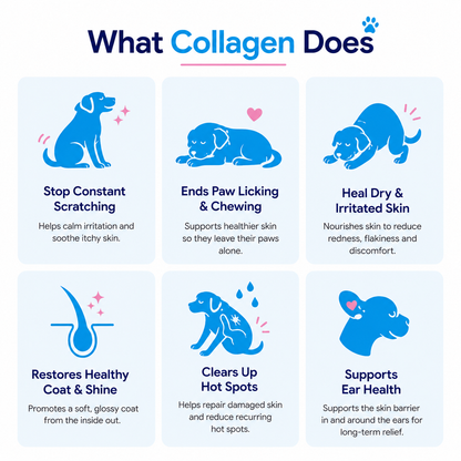 Pawly Premium Liquid Collagen
